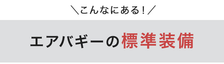 エアバギー 空気 入れ 自転車 に 使える