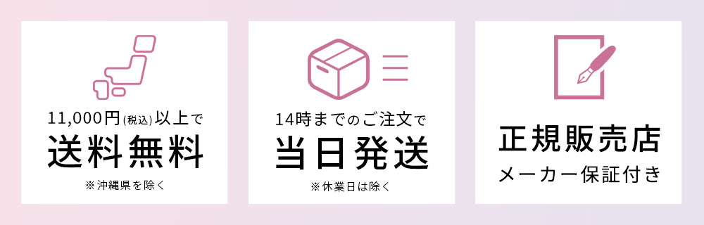 1万円以上で送料無料、14時までのご注文で当日発送、エアバギー正規販売店 安心の正規保証付き