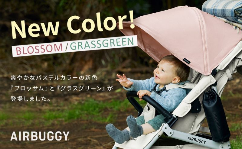 エアバギー2021新色